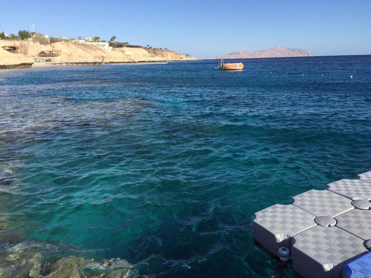 Sharks Bay Oasis Apartment Sharm El-Sheikh Exterior foto