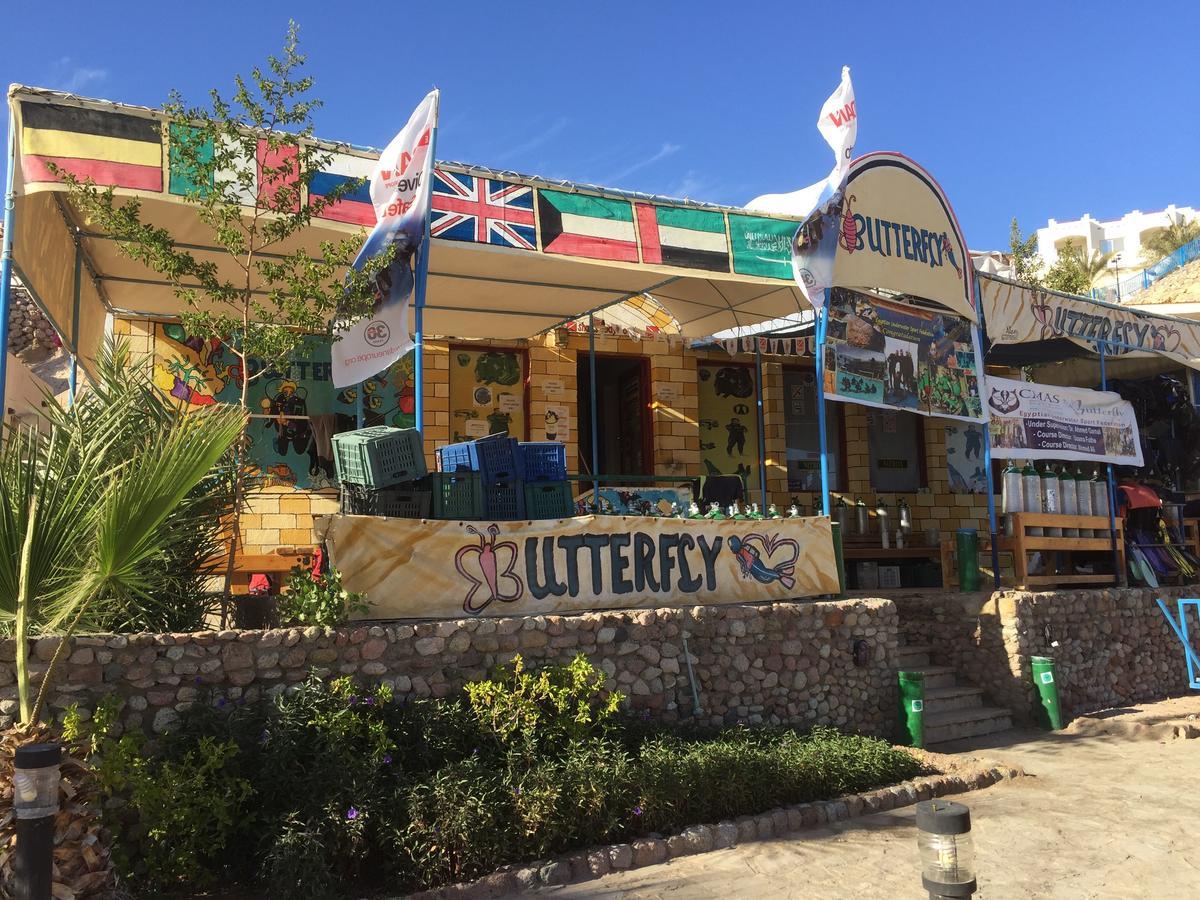 Sharks Bay Oasis Apartment Sharm El-Sheikh Exterior foto